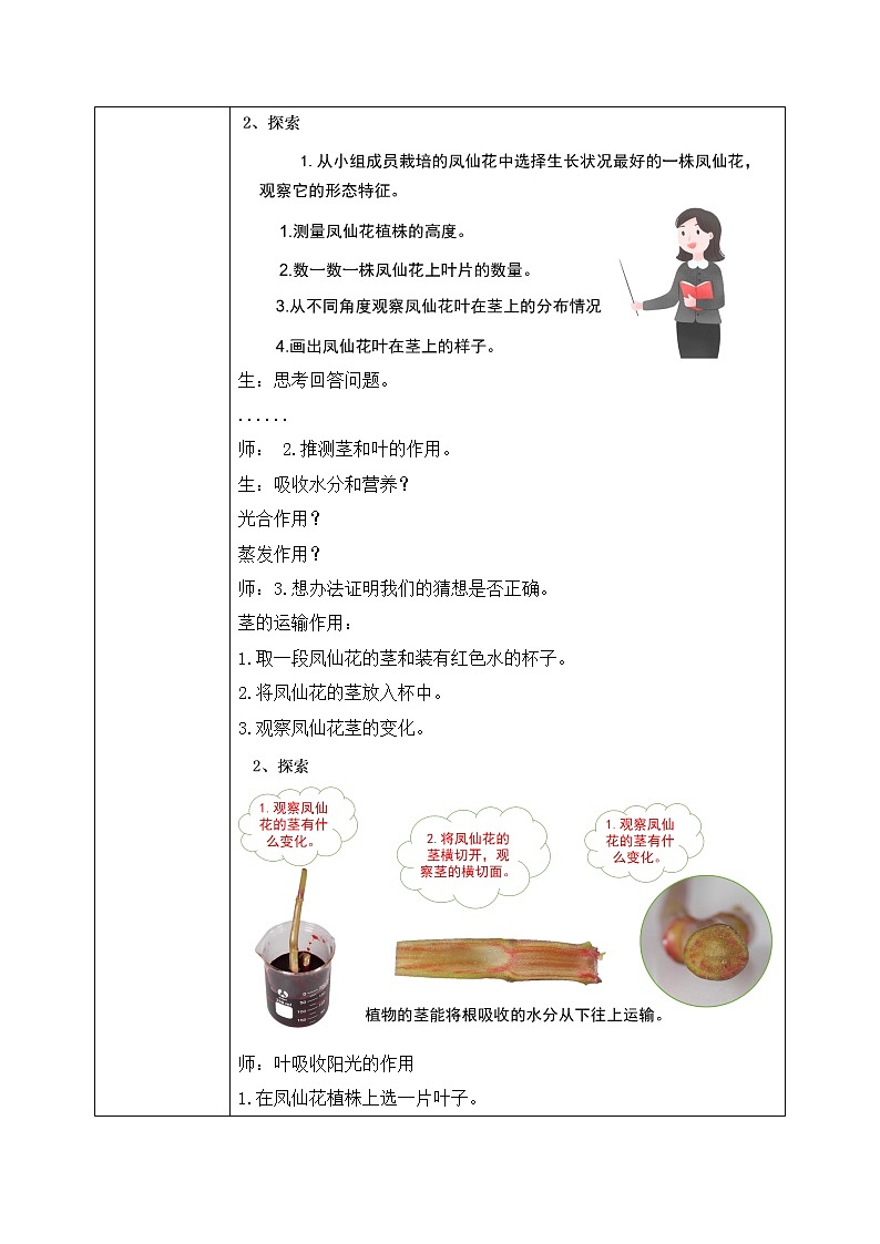 教科版科学四年级下册4.《茎和叶》课件ppt（送教案+练习）02