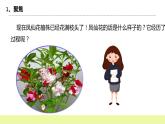 教科版科學四年級下冊5.《鳳仙花開花了》課件ppt（送教案+練習）