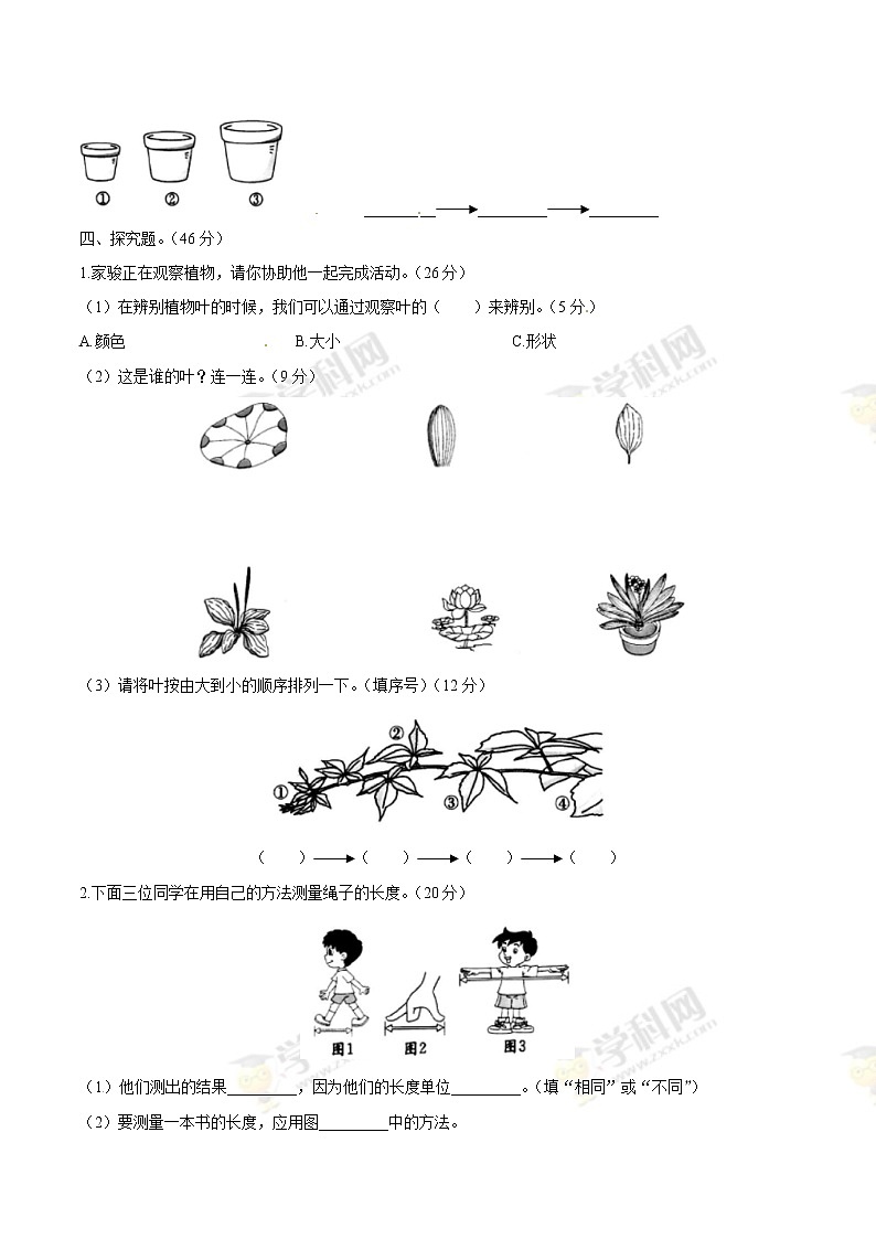 教科版科学一年级上册期末综合全练全测A卷（含答案解析）02