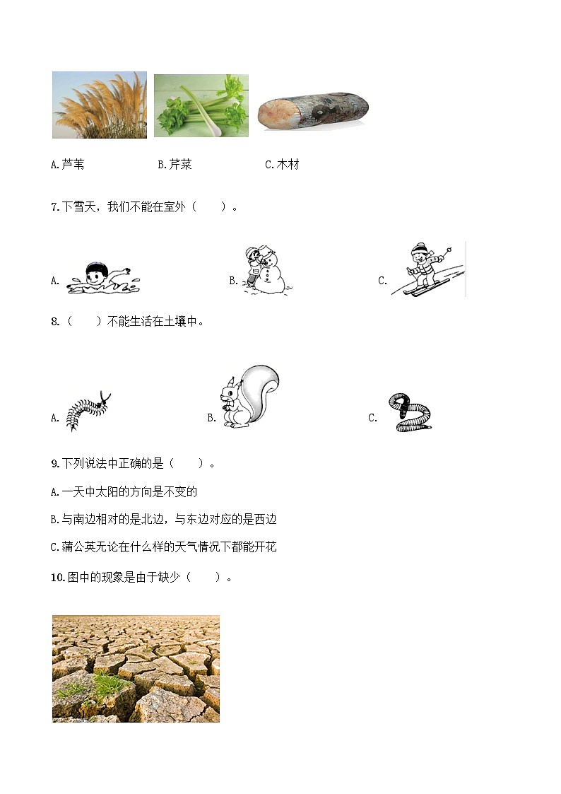 二年级上册科学试题-2020-2021学年期末综合测评卷-教科版（含答案）02