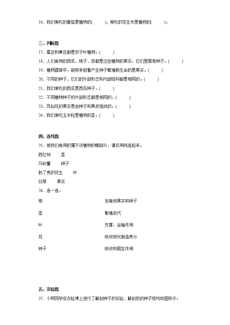 教科版科学四年级下册6.《果实和种子》课件ppt（送教案+练习）02