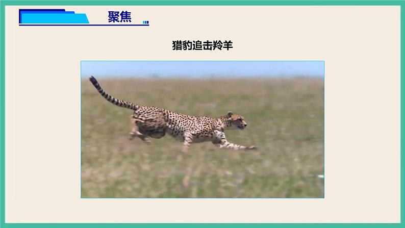 1.6《比较相同时间内运动的快慢》课件+教案+练习(含答案)+素材 教科版三下科学03