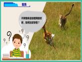 1.6《比较相同时间内运动的快慢》课件+教案+练习(含答案)+素材 教科版三下科学