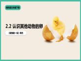 2.2《认识其他动物的卵》课件+教案+素材 教科版三下科学