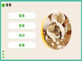 2.2《认识其他动物的卵》课件+教案+素材 教科版三下科学