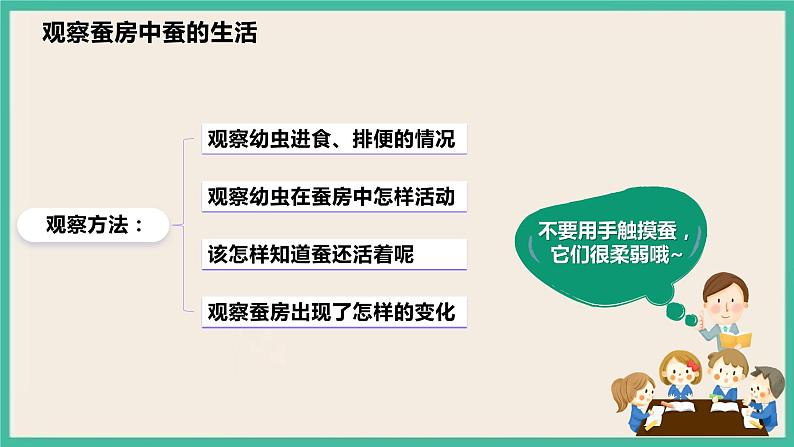 2.3《蚕长大了》课件 教科版三下科学第6页