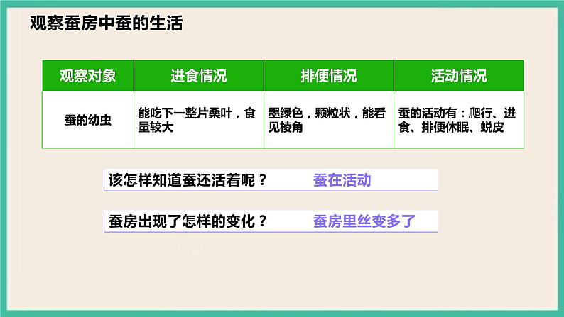 2.3《蚕长大了》课件 教科版三下科学第7页