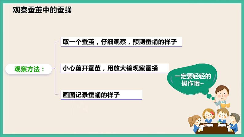 2.4《蚕变了新模样》课件  教科版三下科学第6页