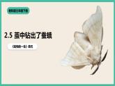 2.5《茧中钻出了蚕蛾》课件+教案+素材 教科版三下科学