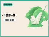 2.6《蚕的一生》课件+教案 教科版三下科学