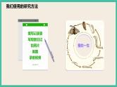 2.6《蚕的一生》课件+教案 教科版三下科学