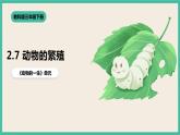 2.7《動物的繁殖》課件+教案+素材 教科版三下科學(xué)
