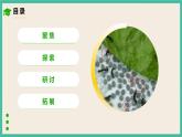 2.7《動物的繁殖》課件+教案+素材 教科版三下科學(xué)