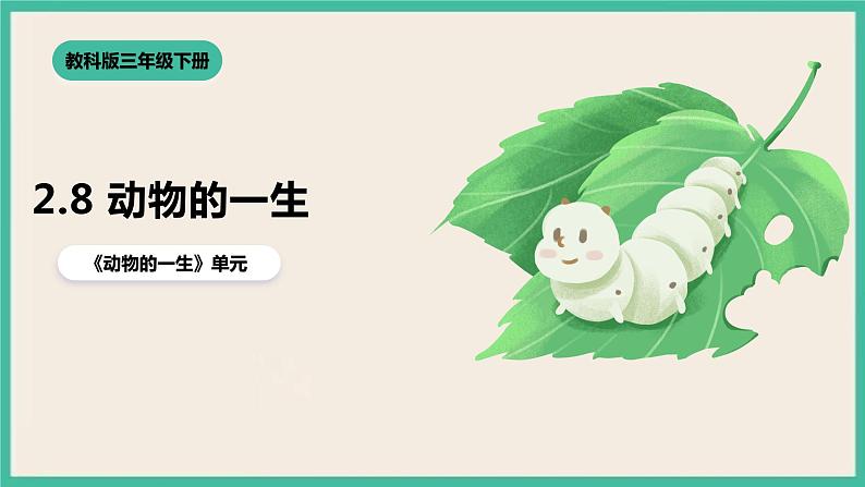 2.8《动物的一生》课件+教案 教科版三下科学01