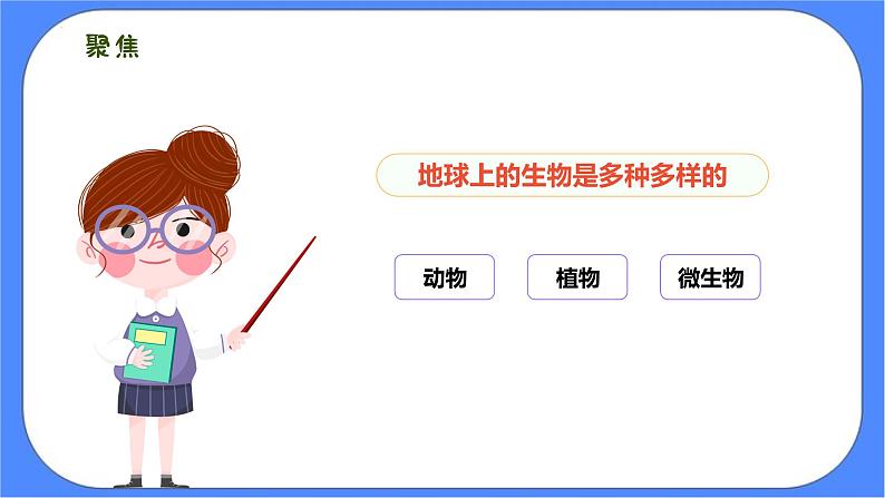 2.1《校园生物大搜索》课件 教科版六下科学第4页