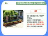2.1《校園生物大搜索》課件+練習(xí)(含答案) 教科版六下科學(xué)