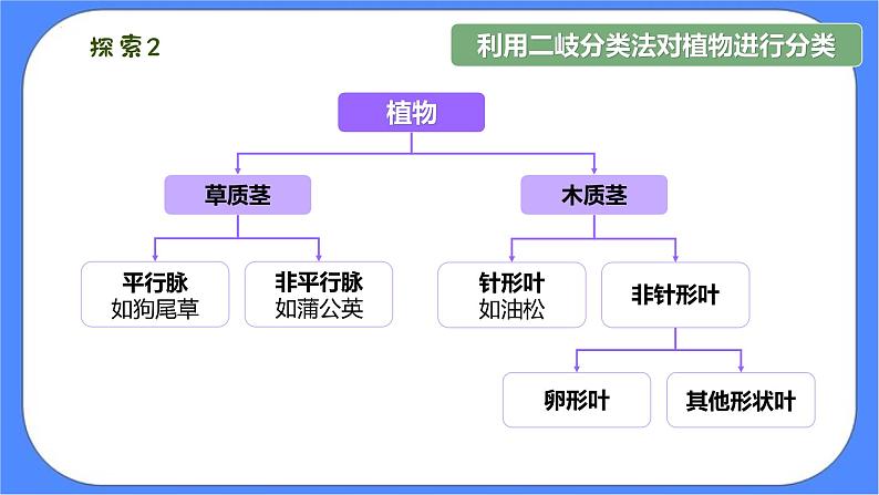 2.2《制作校园生物分布图》课件+练习(含答案) 教科版六下科学08