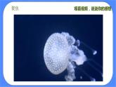 2.7《保护生物多样性》课件+练习(含答案) 教科版六下科学