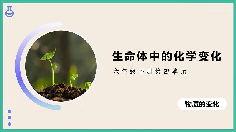 4.6《生命体中的化学变化》课件+练习(含答案) 教科版六下科学01