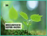 4.6《生命体中的化学变化》课件+练习(含答案) 教科版六下科学