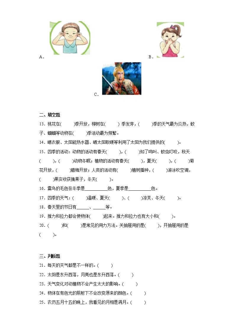 苏教版二年级科学上册期末综合测试B卷含答案02