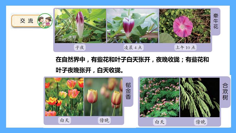 苏教版科学五年级下册 10.昼夜对植物的影响第2页