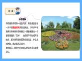 蘇教版科學(xué)五年級下冊 10.晝夜對植物的影響 課件