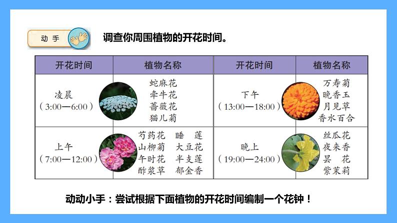 苏教版科学五年级下册 10.昼夜对植物的影响第5页