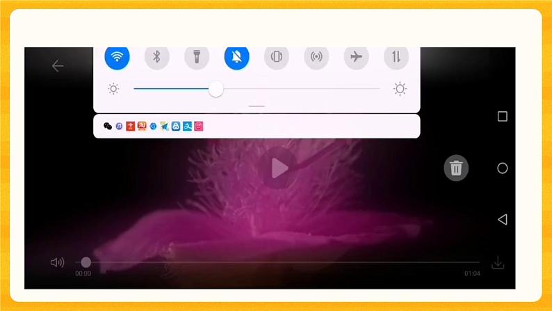 4.2多姿多彩的植物 同步微课+课件06