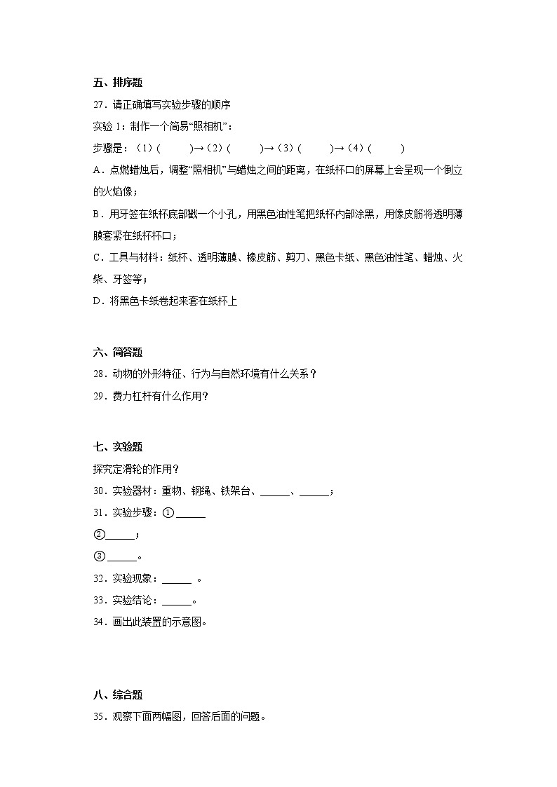 粤教版六年级上册科学期末综合测试B卷含答案03