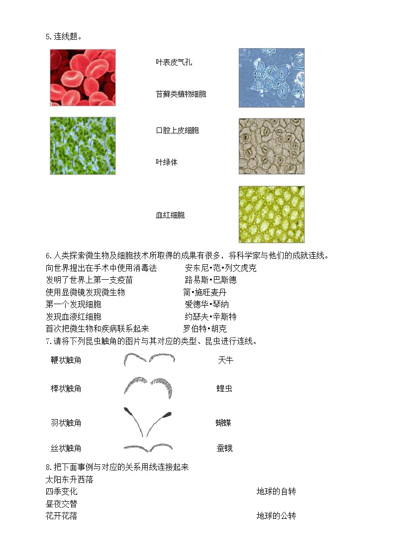 小学科学教科版六年级上册期末复习连线题专项练习（附参考答案）（2022秋）第2页