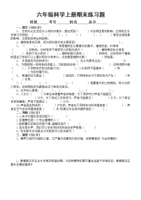 小学科学大象版六年级上册期末练习题（2022秋）（附参考答案）