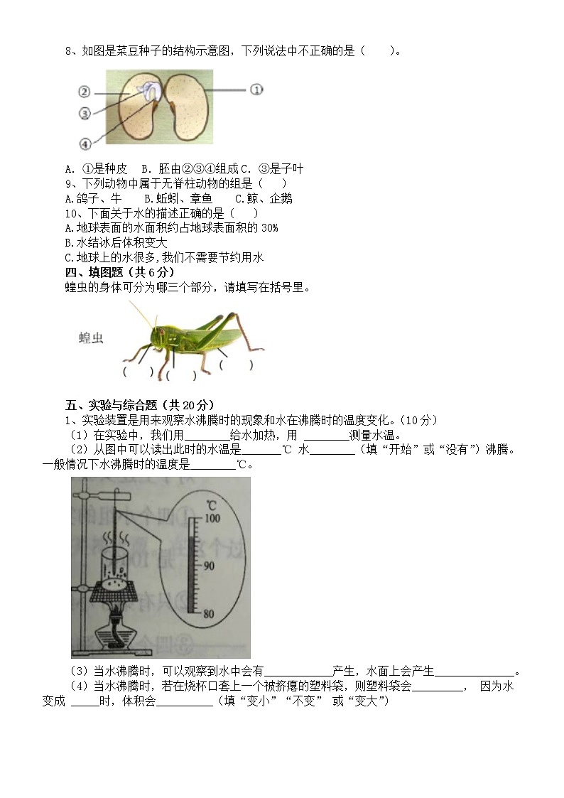 小学科学人教鄂教版四年级上册期末练习题（2022秋）（附参考答案）02