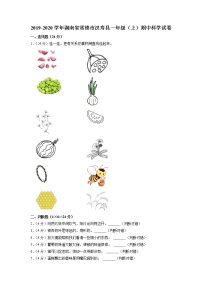 湖南省常德市汉寿县2019-2020学年一年级上学期期中科学试卷（有答案）