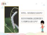 2022年教科版科学三年级下册第3课时 蚕长大了教学课件
