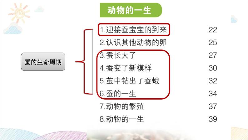 2022年教科版科学三年级下册.《动物的一生》单元复习课件教学课件04