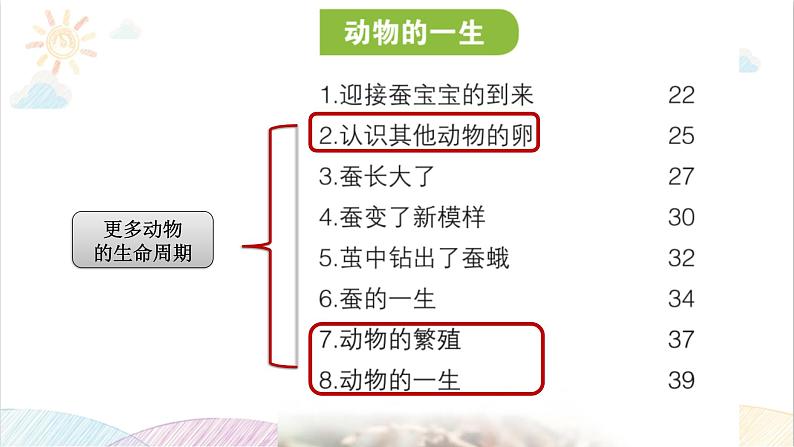 2022年教科版科学三年级下册.《动物的一生》单元复习课件教学课件05