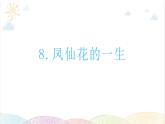 2022年教科版科学四年级下册第8课时 凤仙花的一生教学课件