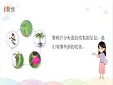 2022年教科版科学四年级下册第8课时 凤仙花的一生教学课件
