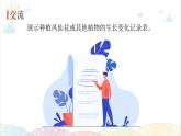 2022年教科版科学四年级下册第8课时 凤仙花的一生教学课件