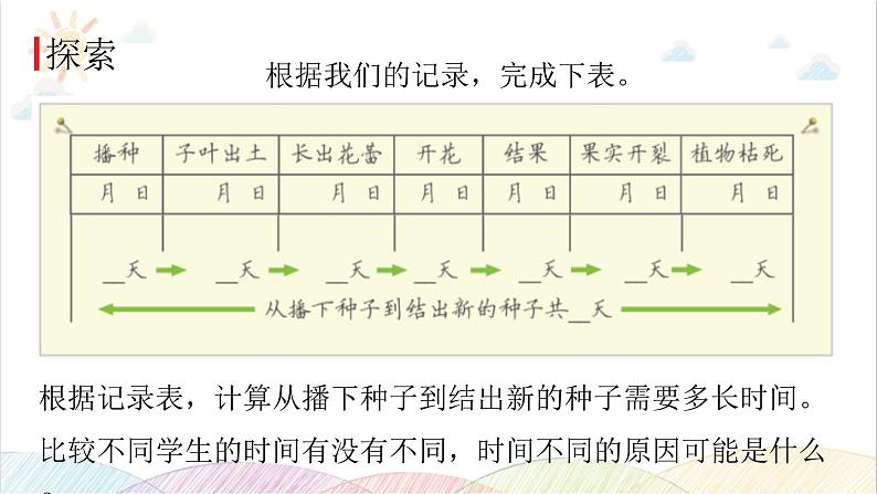 2022年教科版科学四年级下册第8课时 凤仙花的一生教学课件06