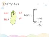 2022年教科版科学四年级下册JK四下第一单元复习课件教学课件