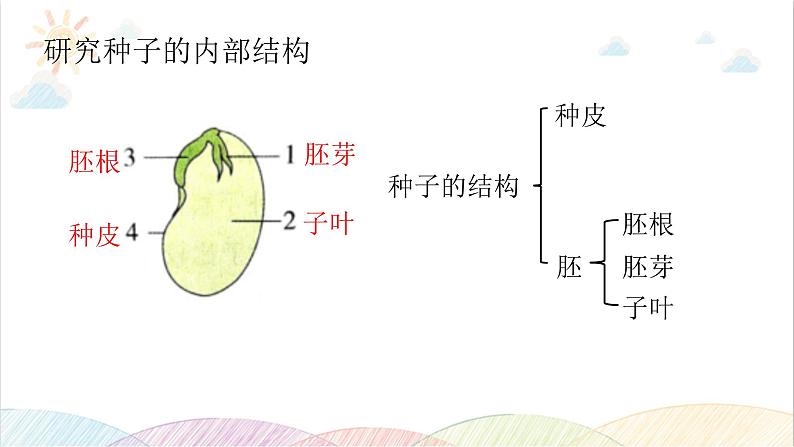 2022年教科版科学四年级下册JK四下第一单元复习课件教学课件05