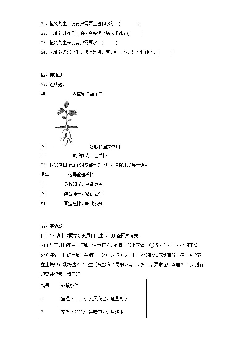 教科版科学四年级下册8.《凤仙花的一生》课件ppt（送教案+练习）03