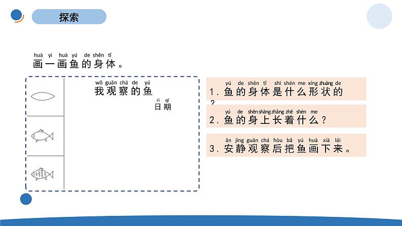 小学科学教科版一年级下册 2.5 观察鱼课件PPT03