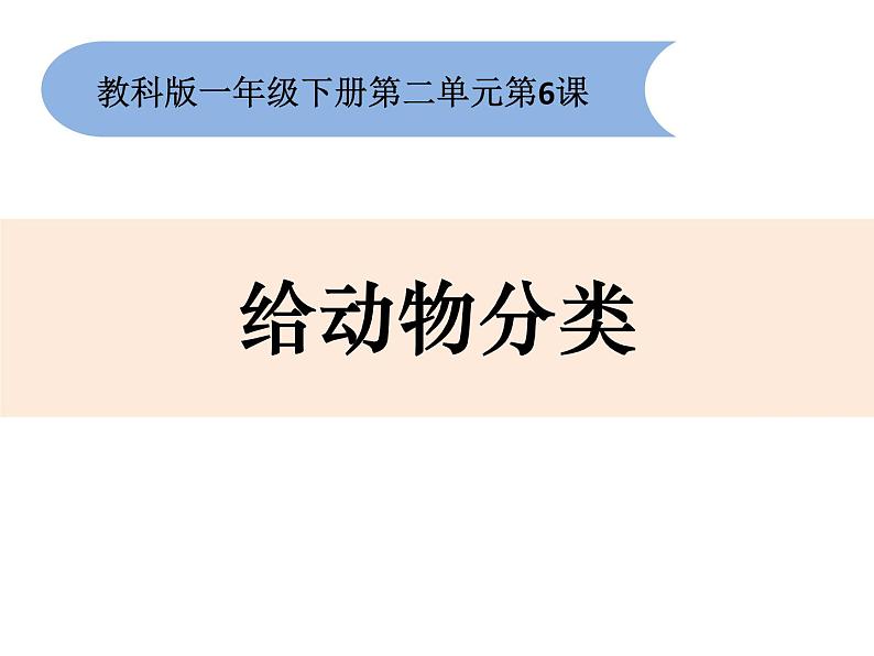 小学科学教科版一年级下册《2.6给动物分类单元复习》课件01