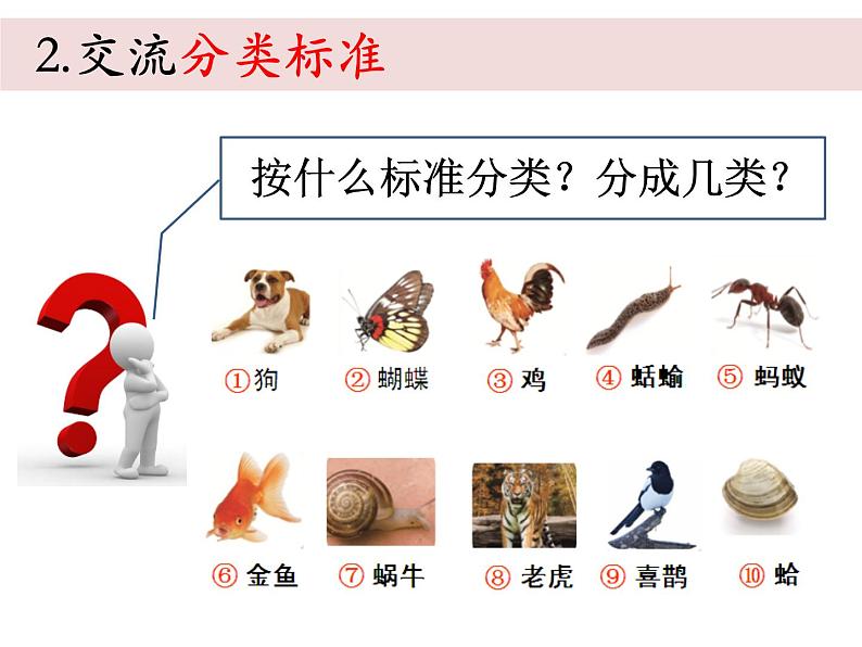 小学科学教科版一年级下册《2.6给动物分类单元复习》课件05