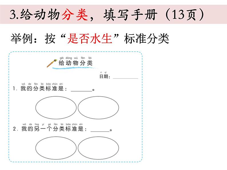 小学科学教科版一年级下册《2.6给动物分类单元复习》课件06