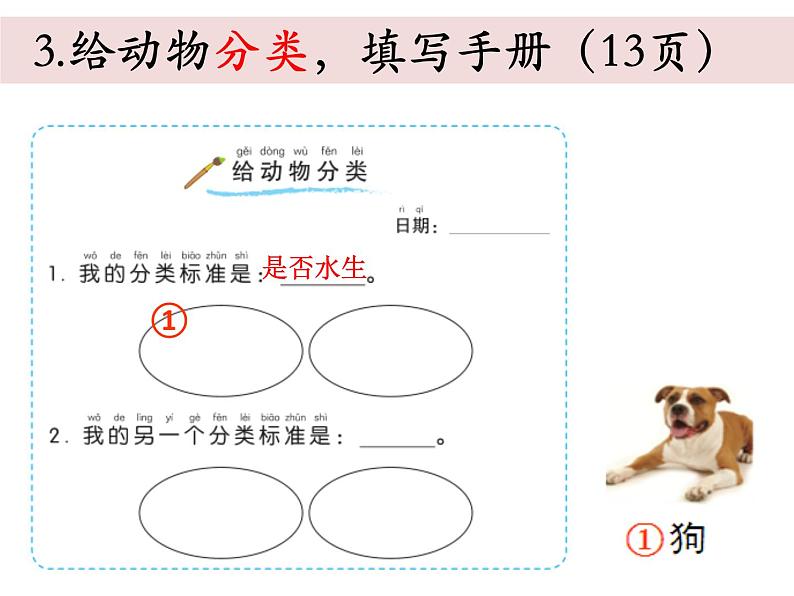 小学科学教科版一年级下册《2.6给动物分类单元复习》课件07