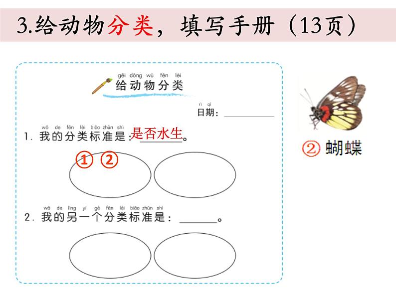 小学科学教科版一年级下册《2.6给动物分类单元复习》课件08